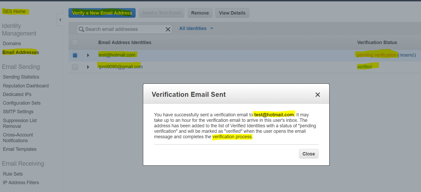 Email Verification Snapshot